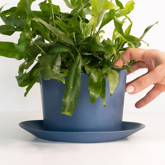 Geometric Oval Handmade Porcelain Planter